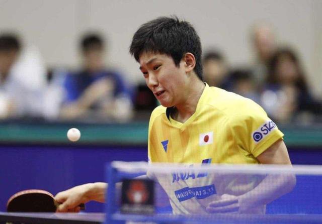 皇家社会 皇家社会