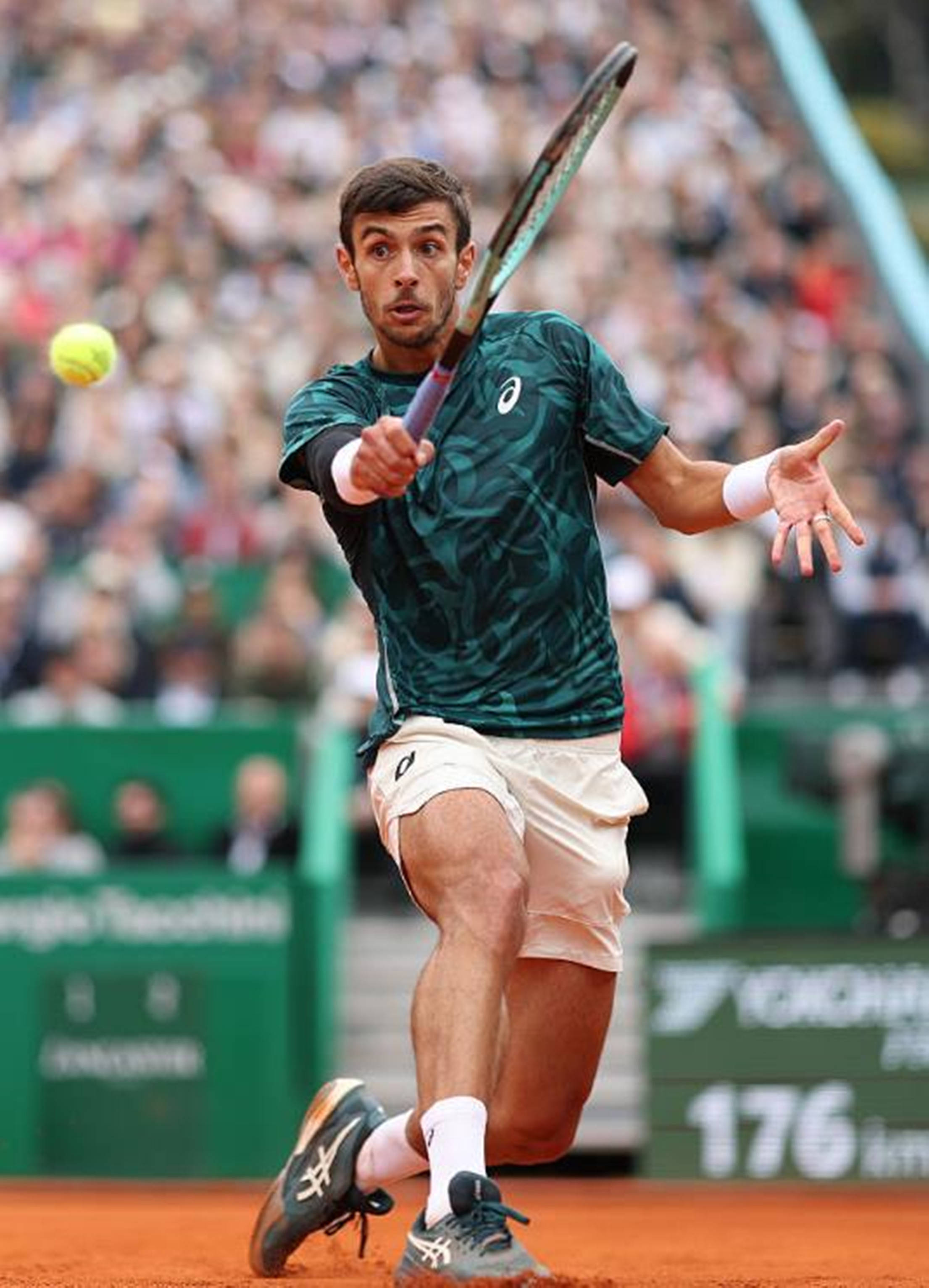 再成焦点 再成焦点