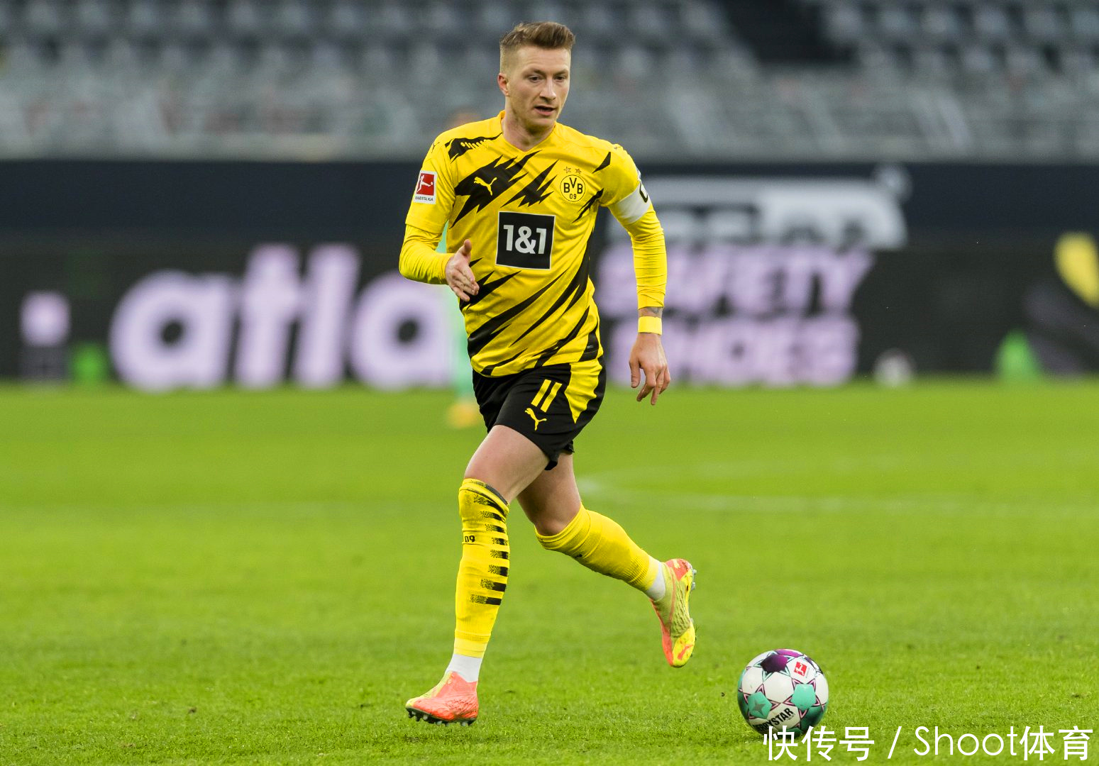 贵州猛龙与 贵州猛龙与